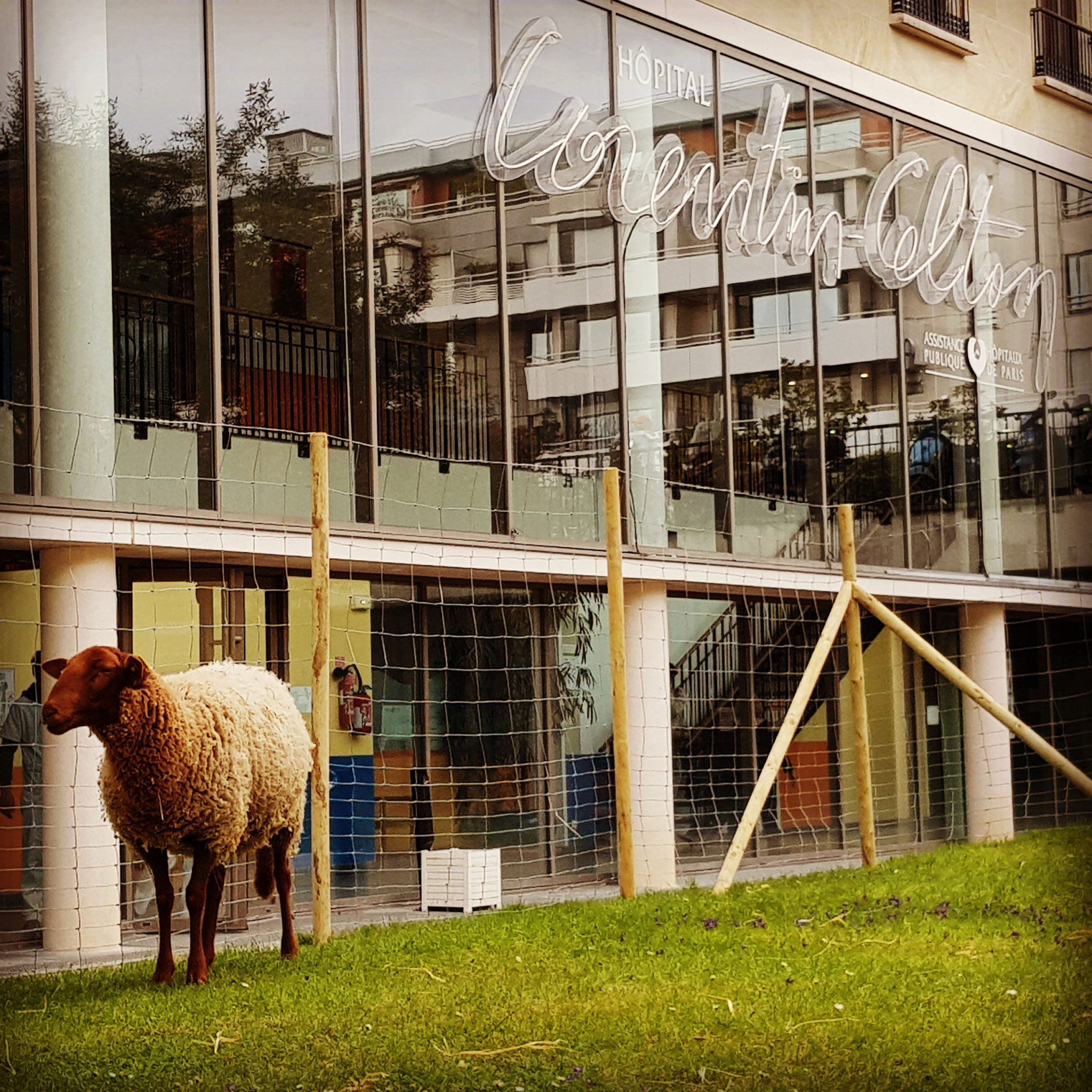 FERME THÉRAPEUTIQUE Les Bergeries d'Issy